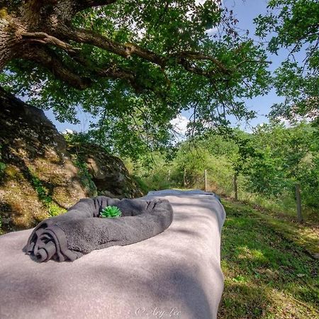 Вилла Gite Du Mont Plaisir Chouvigny Экстерьер фото